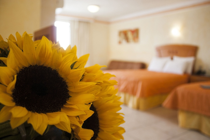 Imagen de la habitación del Hotel Puerta Del Sol, Guadalajara. Foto 3