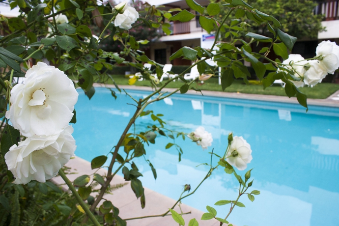 Imagen de la piscina del Hotel Puerta Del Sol, Guadalajara. Foto 13