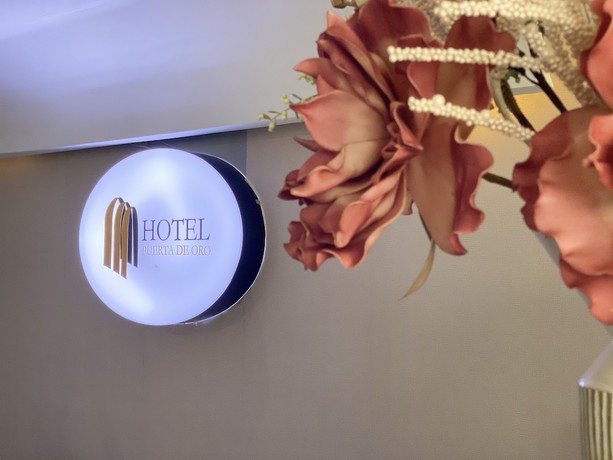 Imagen de los interiores del Hotel Puerta de Oro. Foto 16