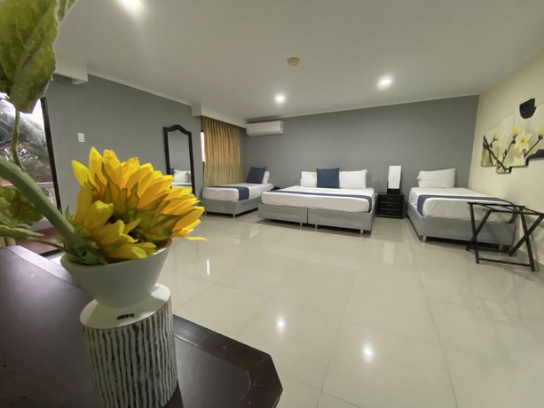 Imagen de la habitación del Hotel Puerta de Oro. Foto 13