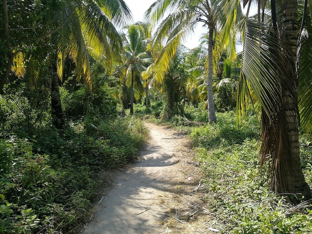 Imagen de los exteriores del Hotel Puerto Caracol Isla M&uacute;cura. Foto 14