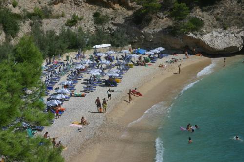 Imagen general del Hotel Pugnochiuso Resort - Degli Ulivi. Foto 7