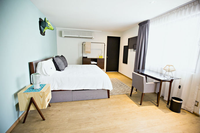 Imagen de la habitación del Hotel Pugseal Polanco. Foto 4