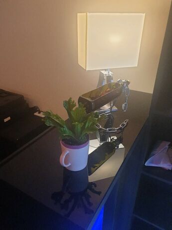 Imagen general del Hotel PulistationBNB. Foto 5