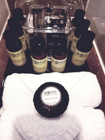 Imagen de la habitación del Hotel Pullman Brisbane Airport. Foto 14