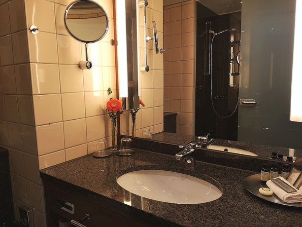 Imagen de la habitación del Hotel Pullman Stuttgart Fontana. Foto 13