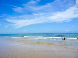 Imagen general del Hotel Pullman Vung Tau, Vung Tau. Foto 22