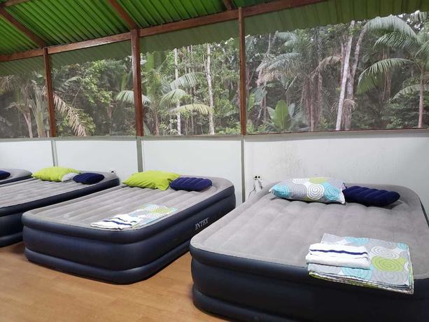 Imagen de la habitación del Hotel Pulmon del Mundo. Foto 10