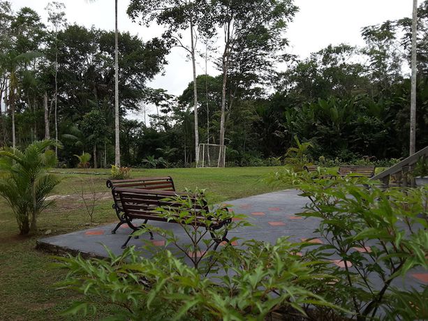 Imagen general del Hotel Pulmon del Mundo. Foto 3