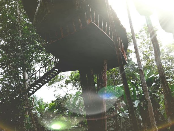 Imagen de la habitación del Hotel Pulmon del Mundo. Foto 12