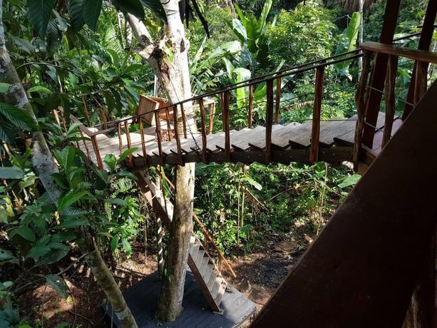 Imagen de la habitación del Hotel Pulmon del Mundo. Foto 13