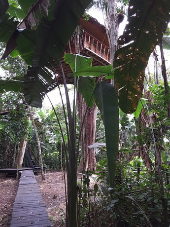 Imagen general del Hotel Pulmon del Mundo. Foto 1