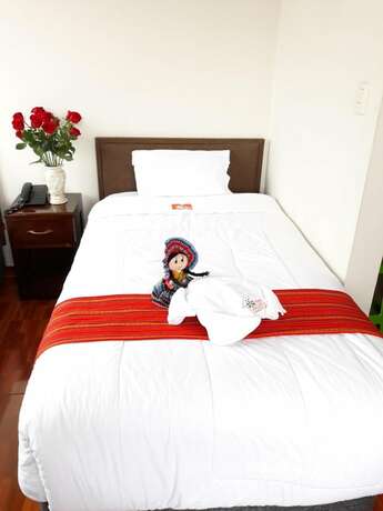 Imagen general del Hotel Pumas Cusco. Foto 8