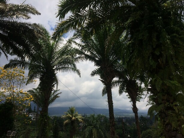 Imagen general del Hotel Puncak Camp Hills. Foto 2