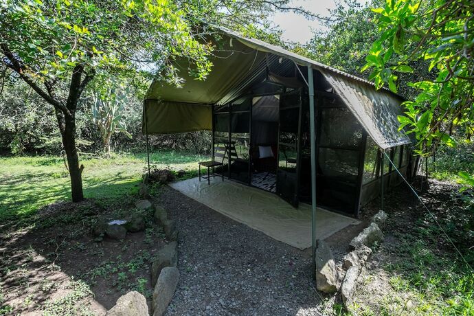 Imagen de la habitación del Hotel Punda Milias Lodge. Foto 13