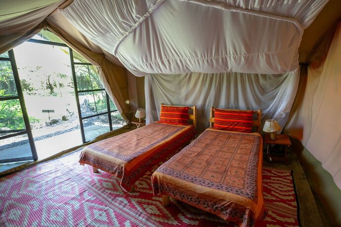 Imagen de la habitación del Hotel Punda Milias Lodge. Foto 15