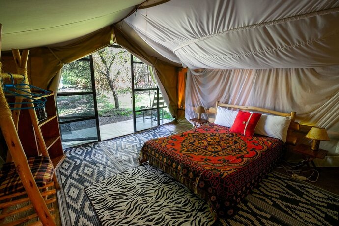 Imagen de la habitación del Hotel Punda Milias Lodge. Foto 16