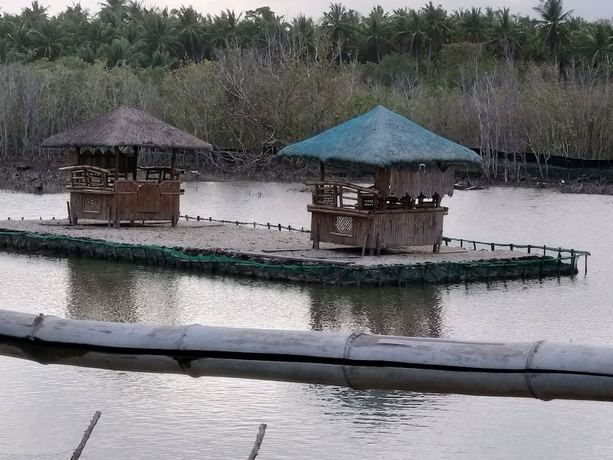 Imagen de los exteriores del Hotel Punta Aguila Resort and. Foto 13