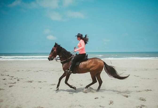 Imagen general del Hotel Punta Azul. Foto 3