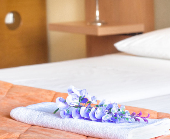 Imagen general del Hotel Punta, Punta. Foto 15