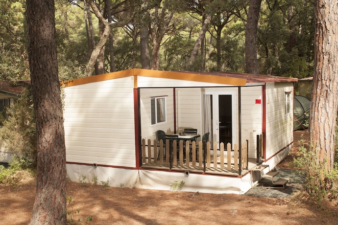 Imagen de la habitación del Hotel Puntala Camp & Resort. Foto 17