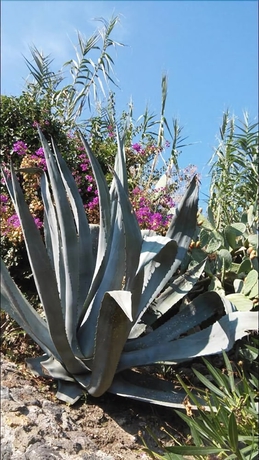 Imagen general del Hotel Punto Azzurro. Foto 3