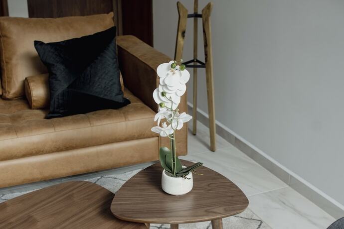 Imagen general del Hotel Punto Lofts Periférico Sur. Foto 1
