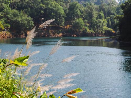 Imagen de la habitación del Hotel Puprai Tarnnarm Resort. Foto 8