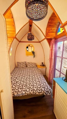 Imagen de la habitación del Hotel Pura Vida Downtown Tiny Houses. Foto 10