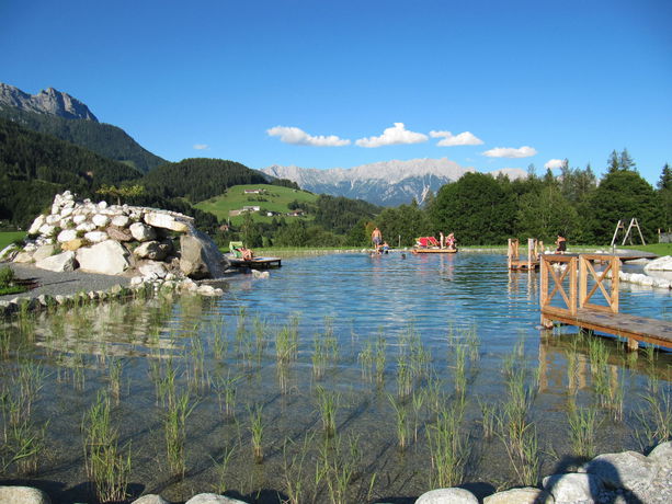 Imagen de la piscina del Hotel Puradies. Foto 11
