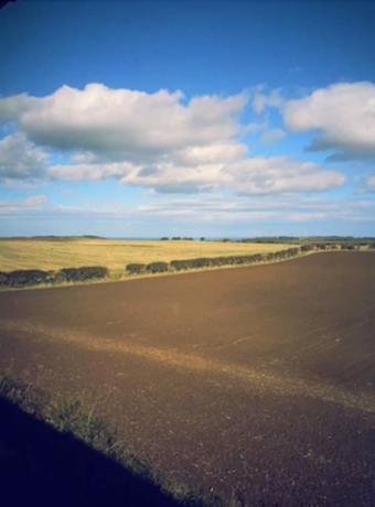 Imagen de la habitación del Hotel Purdy Lodge. Foto 15