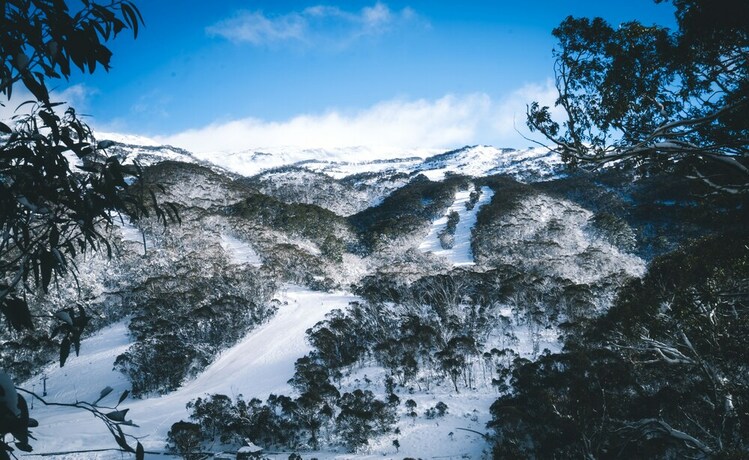 Imagen general del Hotel Pure Chalet. Foto 10