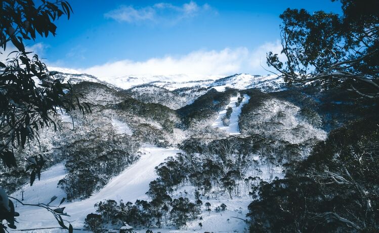 Imagen de la habitación del Hotel Pure Chalet. Foto 27