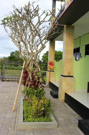 Imagen general del Hotel Puri Anyar Canggu. Foto 4
