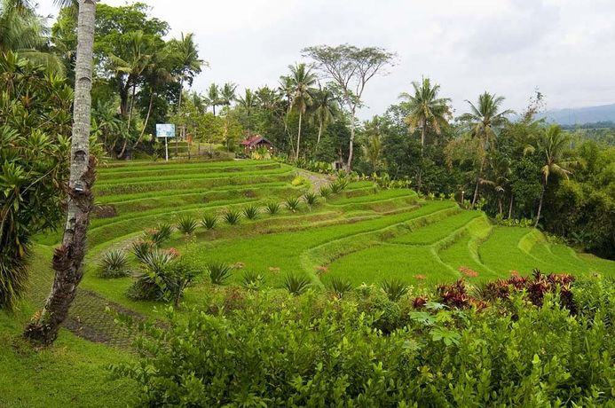 Imagen general del Hotel Puri Asri. Foto 1