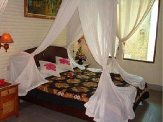 Imagen general del Hotel Puri Asri Villa. Foto 2