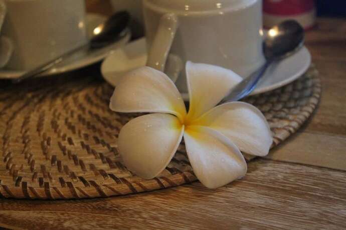 Imagen general del Hotel Puri Asri Villa, Ubud. Foto 7