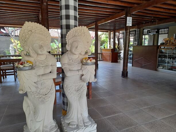 Imagen general del Hotel Puri Bali. Foto 5