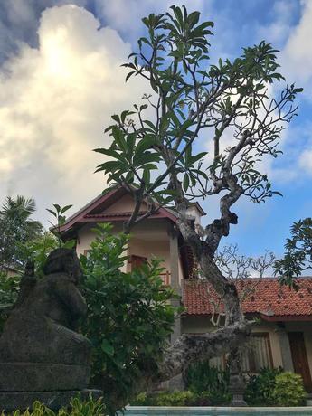 Imagen de los exteriores del Hotel Puri Mesari. Foto 15