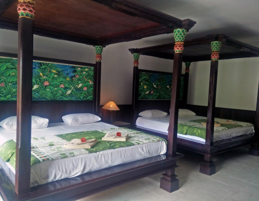 Imagen general del Hotel Puri Rai. Foto 8