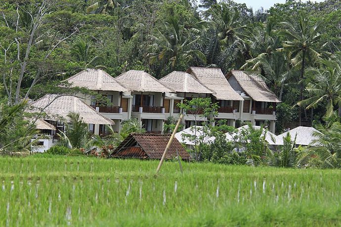 Imagen de los exteriores del Hotel Puri Sebali Resort. Foto 28