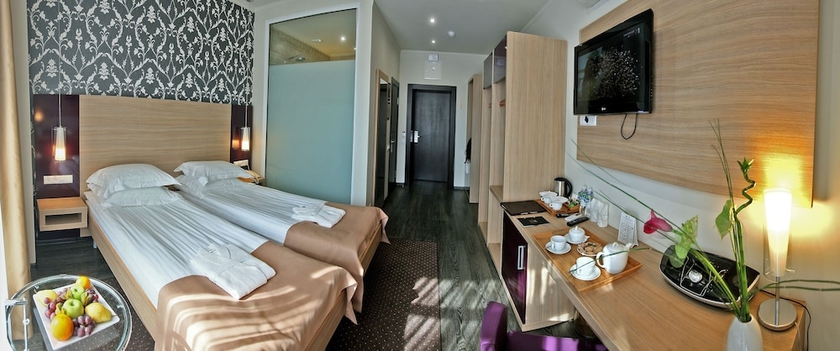 Imagen de la habitación del Hotel Puscha Congress. Foto 16