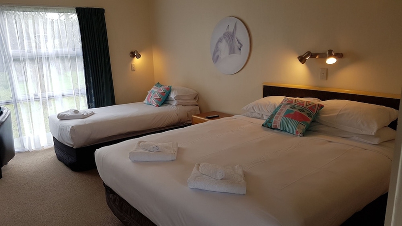 Imagen de la habitación del Hotel Putaruru Arms Motor Inn. Foto 3