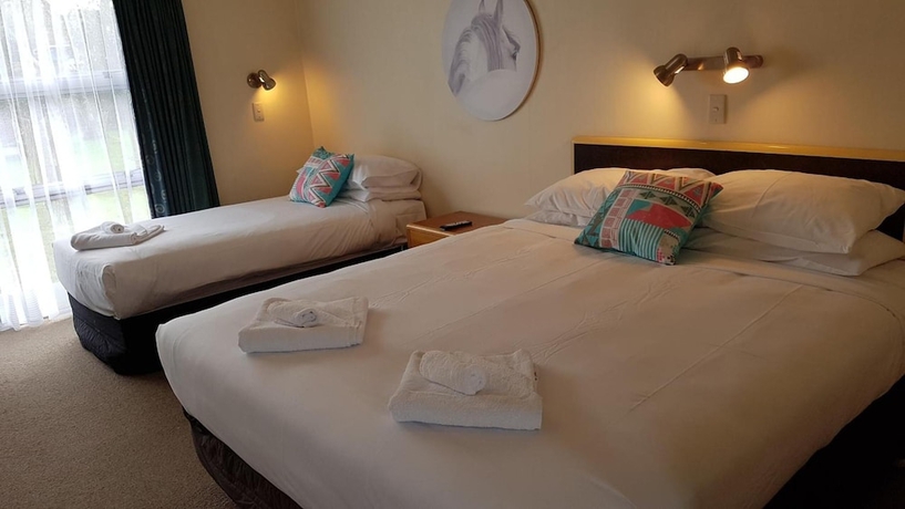 Imagen de la habitación del Hotel Putaruru Arms Motor Inn. Foto 11