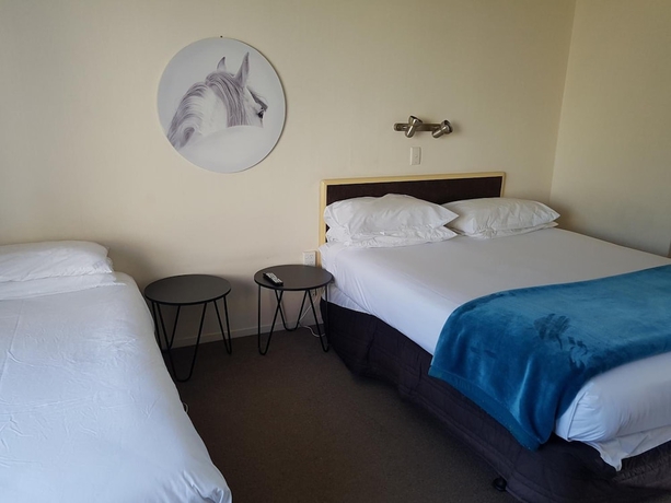 Imagen de la habitación del Hotel Putaruru Arms Motor Inn. Foto 13