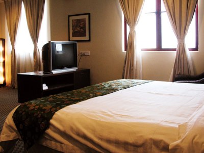 Imagen de la habitación del Hotel Puteri Park. Foto 10