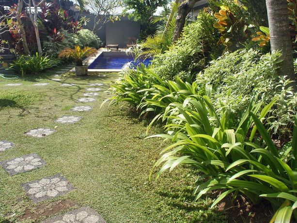 Imagen de la habitación del Hotel Putu Guest House 2. Foto 13