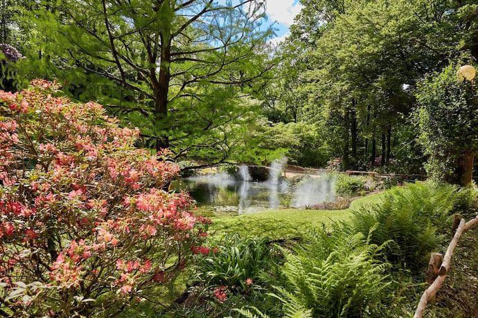 Imagen general del Hotel Puy Du Fou France - Les Iles De Clovis. Foto 4