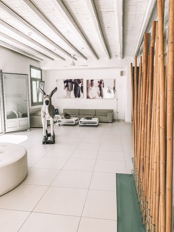 Imagen de los interiores del Hotel Pylaia Boutique Hotel and Spa. Foto 20