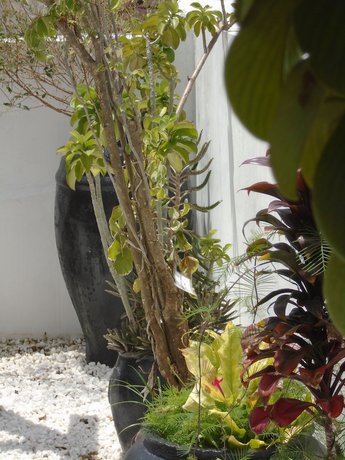 Imagen general del Hotel Pyramid Zanzibar. Foto 1